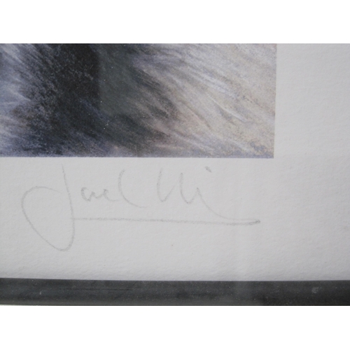 424 - JOEL KIRK. Born to be Wild, reproduction in colours, pencil signed in lower margin, and numbered 42/... 