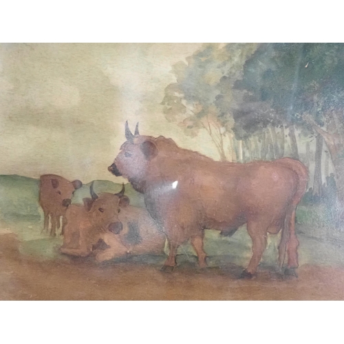 481 - A framed primitive watercolour of white park Cattle, a colour Print of a Terrier after Cecil Aldin, ... 