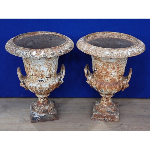 537 - A pair of white painted cast iron Campana Garden Urns in the manner of Handyside, with egg and dart ... 