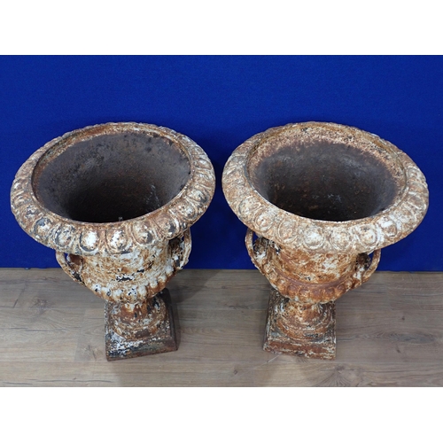 537 - A pair of white painted cast iron Campana Garden Urns in the manner of Handyside, with egg and dart ... 