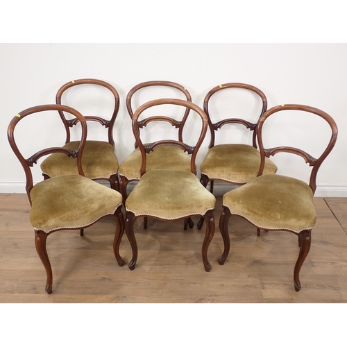 601 - A set of six 19th Century, rosewood Dining Chairs with hoop backs, shaped stuff-over seats on slende... 