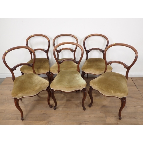 601 - A set of six 19th Century, rosewood Dining Chairs with hoop backs, shaped stuff-over seats on slende... 