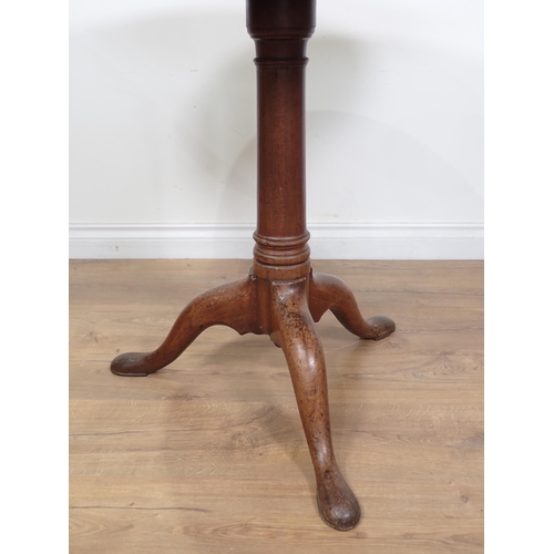 643 - A Georgian mahogany tilt-top Table with single piece top on gun barrel column on tripod base and pad... 