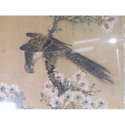 430 - A pair of Oriental silk Pictures decorated various birds on a floral branch with a decorative border