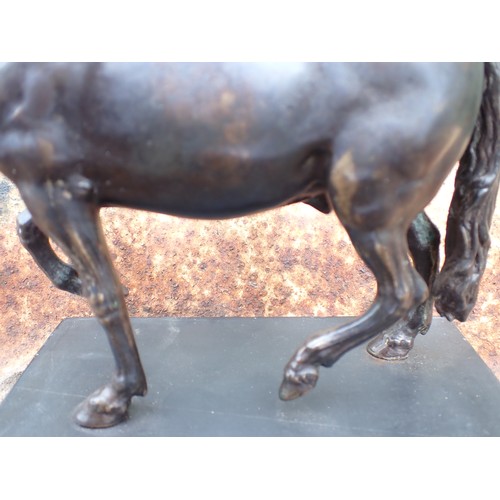 468 - After Giambologna; a bronze Sculpture of the pacing horse modelled on the statue of Duke Cosimo l de... 