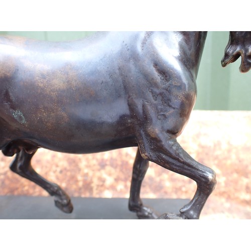 468 - After Giambologna; a bronze Sculpture of the pacing horse modelled on the statue of Duke Cosimo l de... 