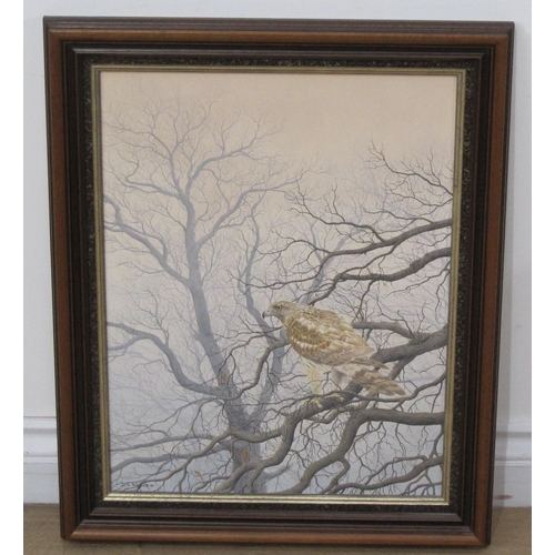 433 - JERRY WAIDE. Young Goshawk, signed, oil on board, 17½ x 14in