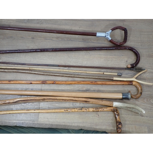 296 - A quantity of Walking Sticks, Shooting Stick and Umbrellas