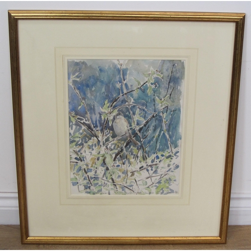 423 - DAVID BARRATT. 'White Throat, Whittingham, Norfolk, Jan 1973', signed, pencil and watercolour, 14 x ... 