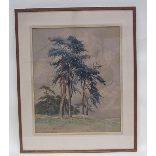 447 - ARTHUR G. PETHERBRIDGE. By a Heathland Pond, signed, watercolour, 13 x 18 1/2in; two other watercolo... 