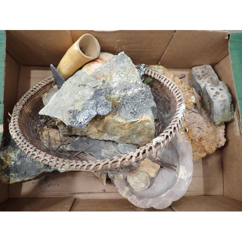 593 - Two boxes of Fossils and Rocks