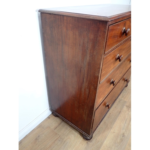 604 - A Victorian mahogany Chest two short and three long drawers on bun feet 4ft W x 3ft 10in H