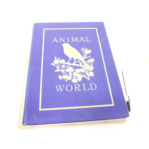 1058 - REDOUTE, two volumes Roses, illustrated HUNT P. Francis, The Orchid, pub. 1978 and The Animal World,... 