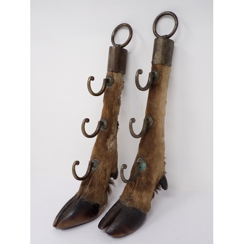 1526 - A pair of antique taxidermy Red Deer Hooves mounted as a Whip Rack 1ft 2in L