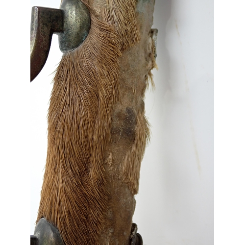 1526 - A pair of antique taxidermy Red Deer Hooves mounted as a Whip Rack 1ft 2in L