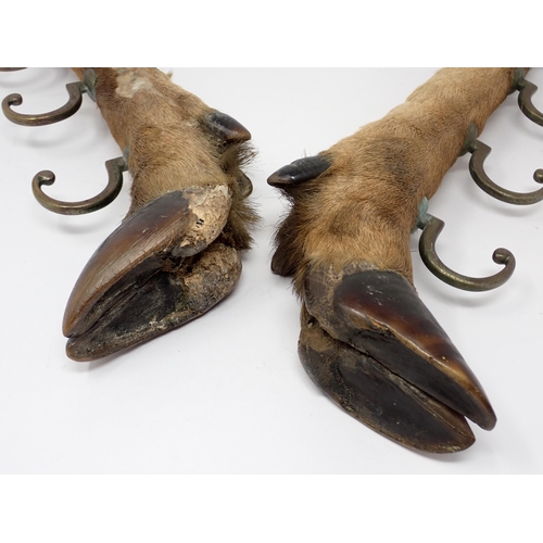 1526 - A pair of antique taxidermy Red Deer Hooves mounted as a Whip Rack 1ft 2in L