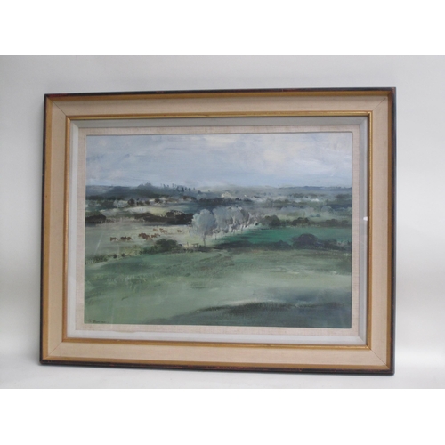 426 - JOHN BURMAN. Stour Valley, East Bergholt, signed, oil on board, 20½ x 28in