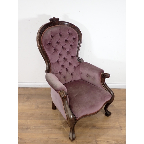 516 - A Victorian mahogany framed button back Armchair with purple upholstery