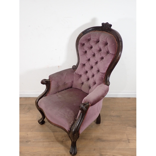 516 - A Victorian mahogany framed button back Armchair with purple upholstery