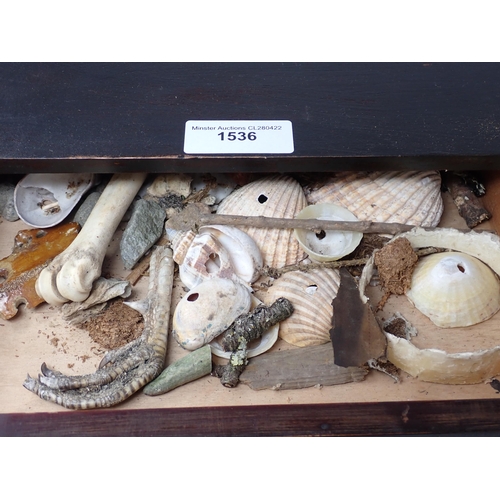 86 - A stained pine Collector's Cabinet fitted four graduated drawers on plinth base containing a collect... 