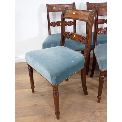 281 - A set of six 19th Century mahogany bar-back Dining Chairs with pale blue stuff over seats