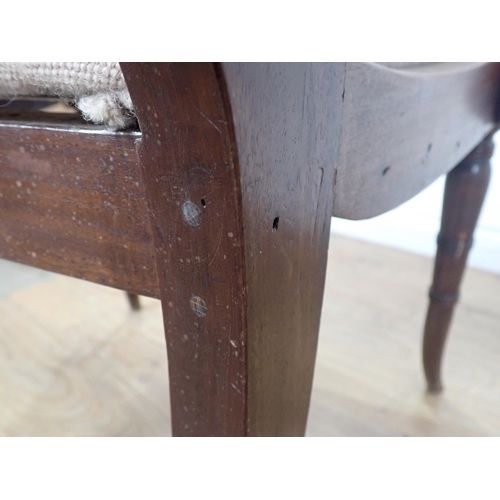 303 - A set of 19th Century mahogany bar-back Dining Chairs on ring turned front supports including one ca... 