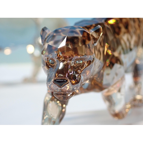 354 - Six boxed Swarovski Animales including Camel, Giraffe, Leopard, two Lions and a Fawn