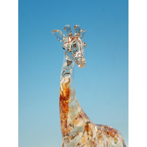 354 - Six boxed Swarovski Animales including Camel, Giraffe, Leopard, two Lions and a Fawn