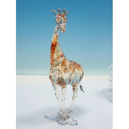 354 - Six boxed Swarovski Animales including Camel, Giraffe, Leopard, two Lions and a Fawn