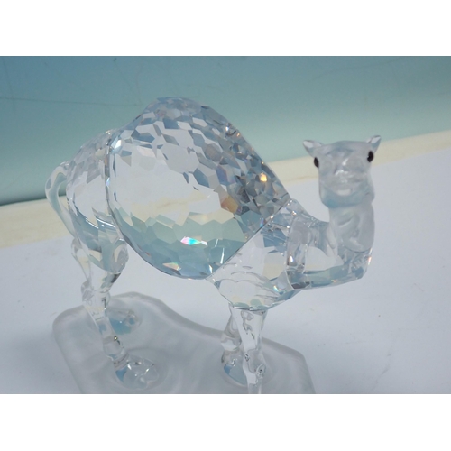 354 - Six boxed Swarovski Animales including Camel, Giraffe, Leopard, two Lions and a Fawn