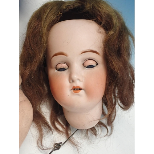 292 - A German bisque headed Doll in need of re-stringing A/F and a Doll's Head