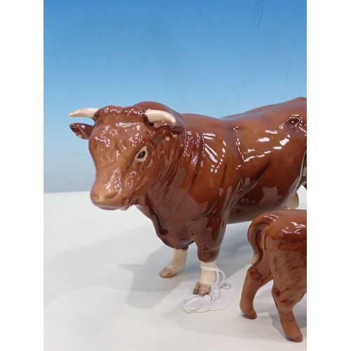 384 - A Beswick Charolais Bull, Cow and two Calves