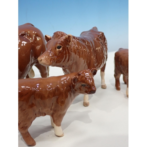 384 - A Beswick Charolais Bull, Cow and two Calves