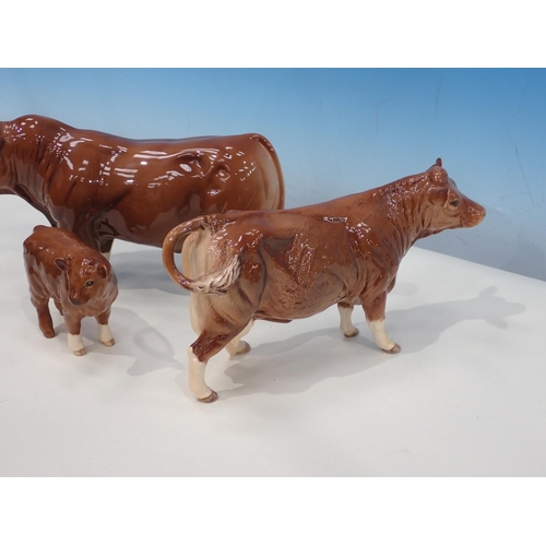 384 - A Beswick Charolais Bull, Cow and two Calves