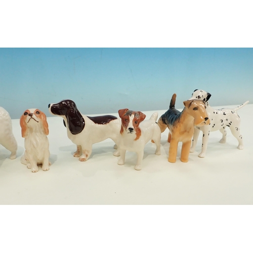 386 - Nine Beswick figures of Dogs: Poodle, Airdale, Terrier, Spaniel, Dalmation, King Charles Spaniel, lo... 