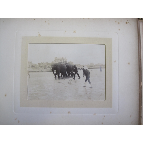 425 - A collection of family Photographs, c.1880-1910, within four albums, principally portrait subjects ;... 