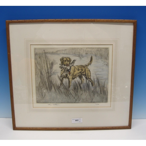 443 - HENRY WILKINSON. A labrador retrieving a duck, pencil signed, colour etching, pl. 9¼ x 12in; and two... 