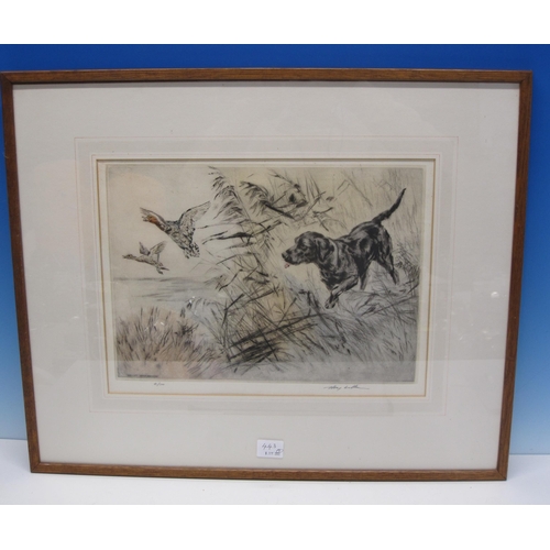 443 - HENRY WILKINSON. A labrador retrieving a duck, pencil signed, colour etching, pl. 9¼ x 12in; and two... 