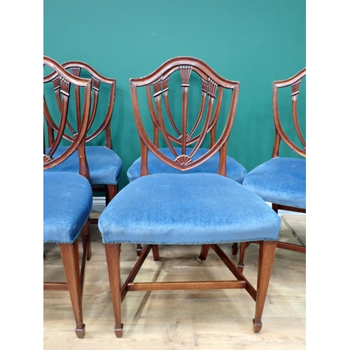 705 - A set of six Georgian style mahogany Dining Chairs with shield backs and blue stuff over seats mount... 