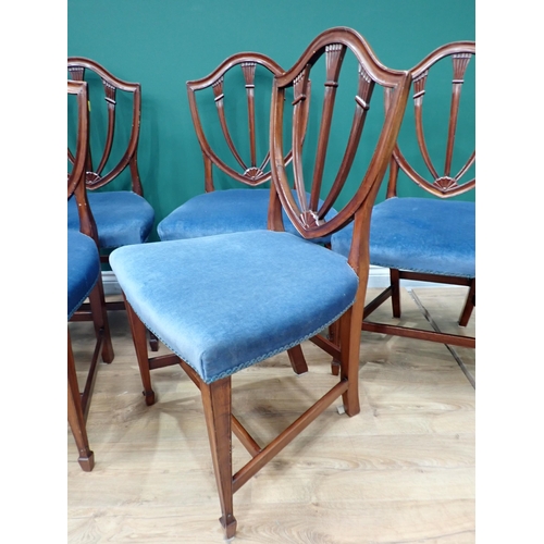 705 - A set of six Georgian style mahogany Dining Chairs with shield backs and blue stuff over seats mount... 