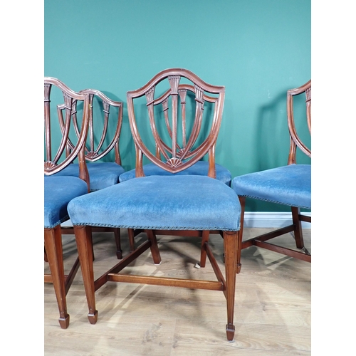 705 - A set of six Georgian style mahogany Dining Chairs with shield backs and blue stuff over seats mount... 