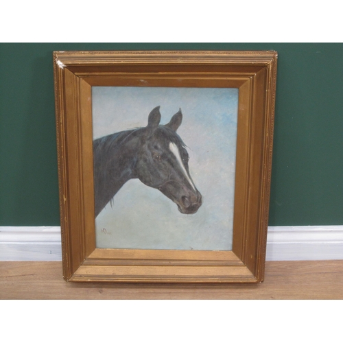 236 - H.O. Head of a Horse, monogrammed, and dated 1903, oil on board, 17 x 14 in