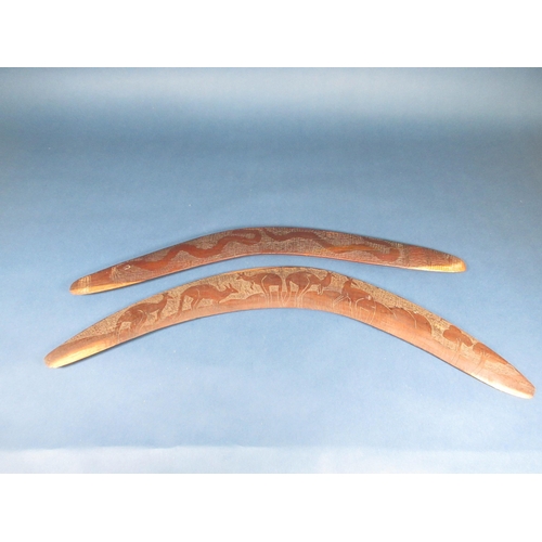 415 - Two Australian Boomerangs, one with shallow carved kangaroo decoration, 26in, the other with snake a... 