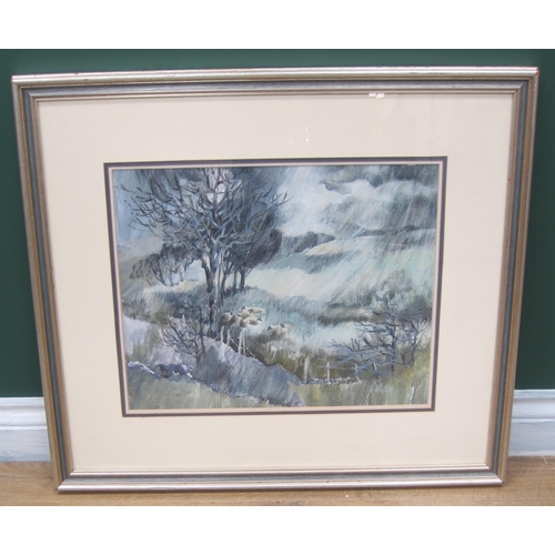 248 - SYLVIA WHITTALL. Sheep in the Rain, signed, acrylic, 13½ x 16½in. Exhibited: Royal Academy, Summer E... 