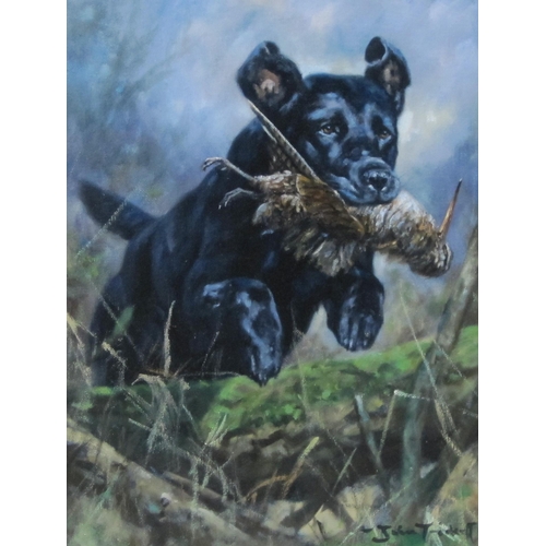 408 - JOHN TRICKETT (b.1953). Black Labrador carrying a Woodcock, signed, oil on canvas, 16 x 12in