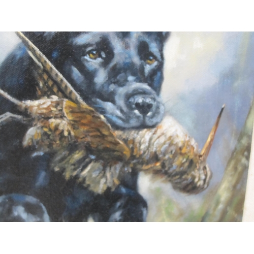 408 - JOHN TRICKETT (b.1953). Black Labrador carrying a Woodcock, signed, oil on canvas, 16 x 12in