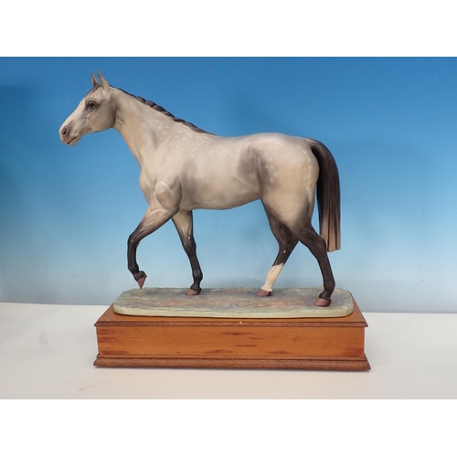 479 - An Albany Fine China limited edition Model of a grey Thoroughbred modelled by David Lovegrove, numbe... 