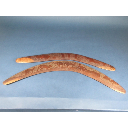 503 - Two Australian Boomerangs, one with shallow carved kangaroo decoration, 26in, the other with snake a... 