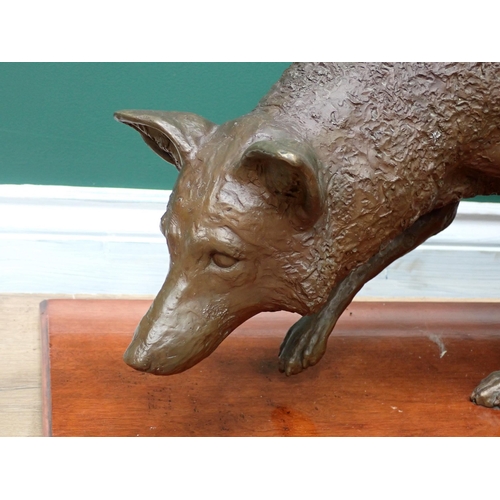 512 - J. CLAYTON BRIGHT. A bronze life-size Sculpture of a Fox, stamped Limited Edition mark 9/30 and foun... 