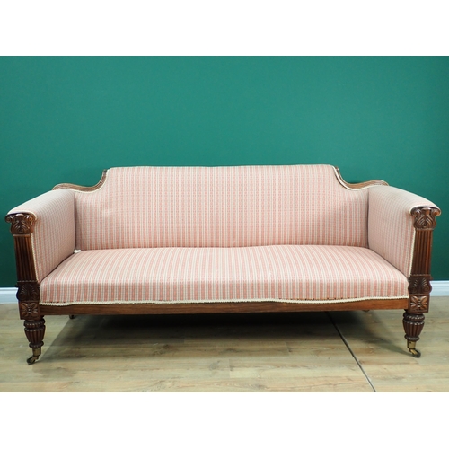 599 - A William IV mahogany Settee with scrolled back, reeded carved arm supports, lobed tapering supports... 